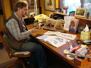 Mark studying skull of possible ancestral tiger.